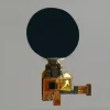 OLED